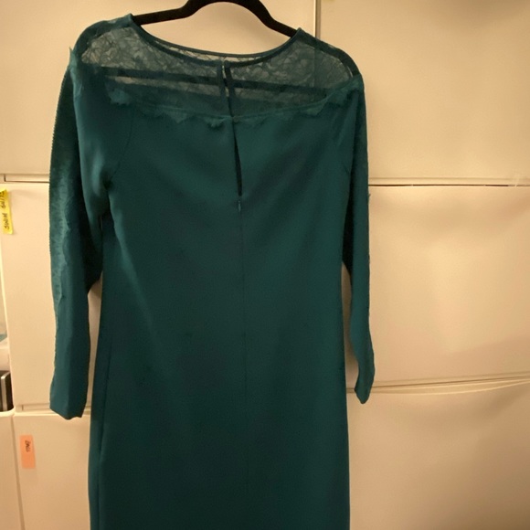 Deep green lace-detailed midi dress by Reiss - Picture 4 of 6